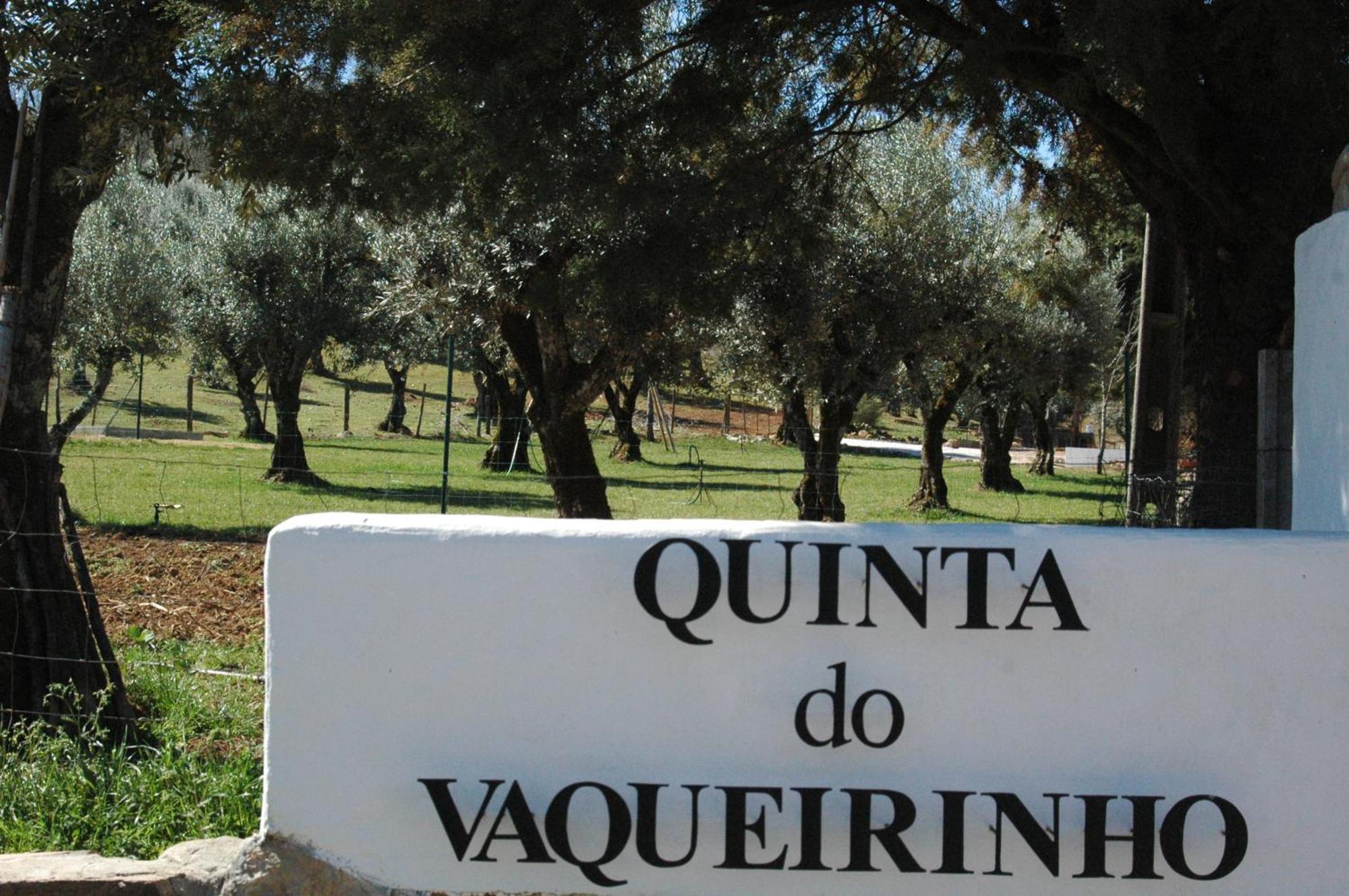 Marvão Quinta Do Vaqueirinho - Agro-Turismo 빌라 외부 사진