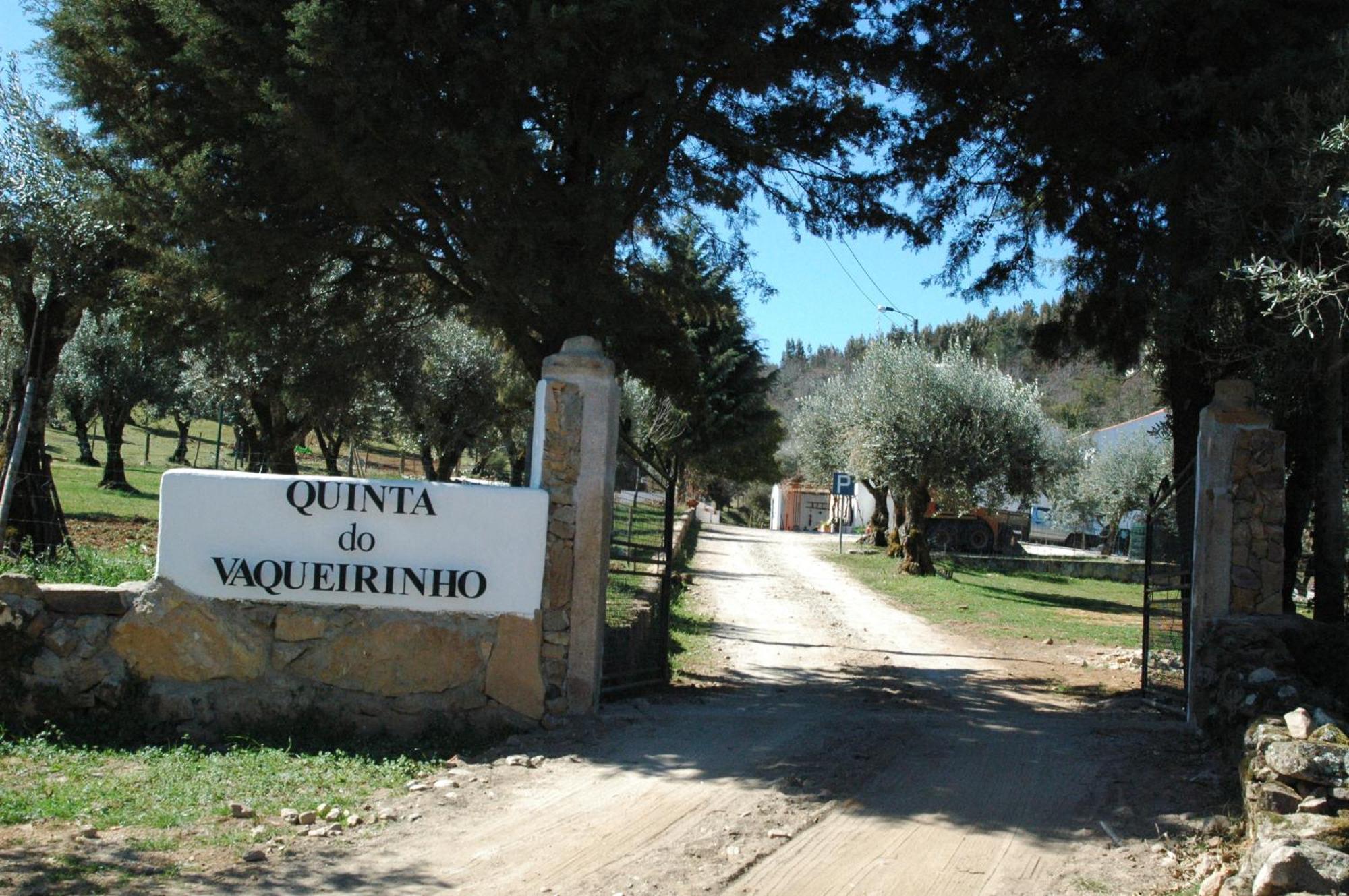 Marvão Quinta Do Vaqueirinho - Agro-Turismo 빌라 외부 사진