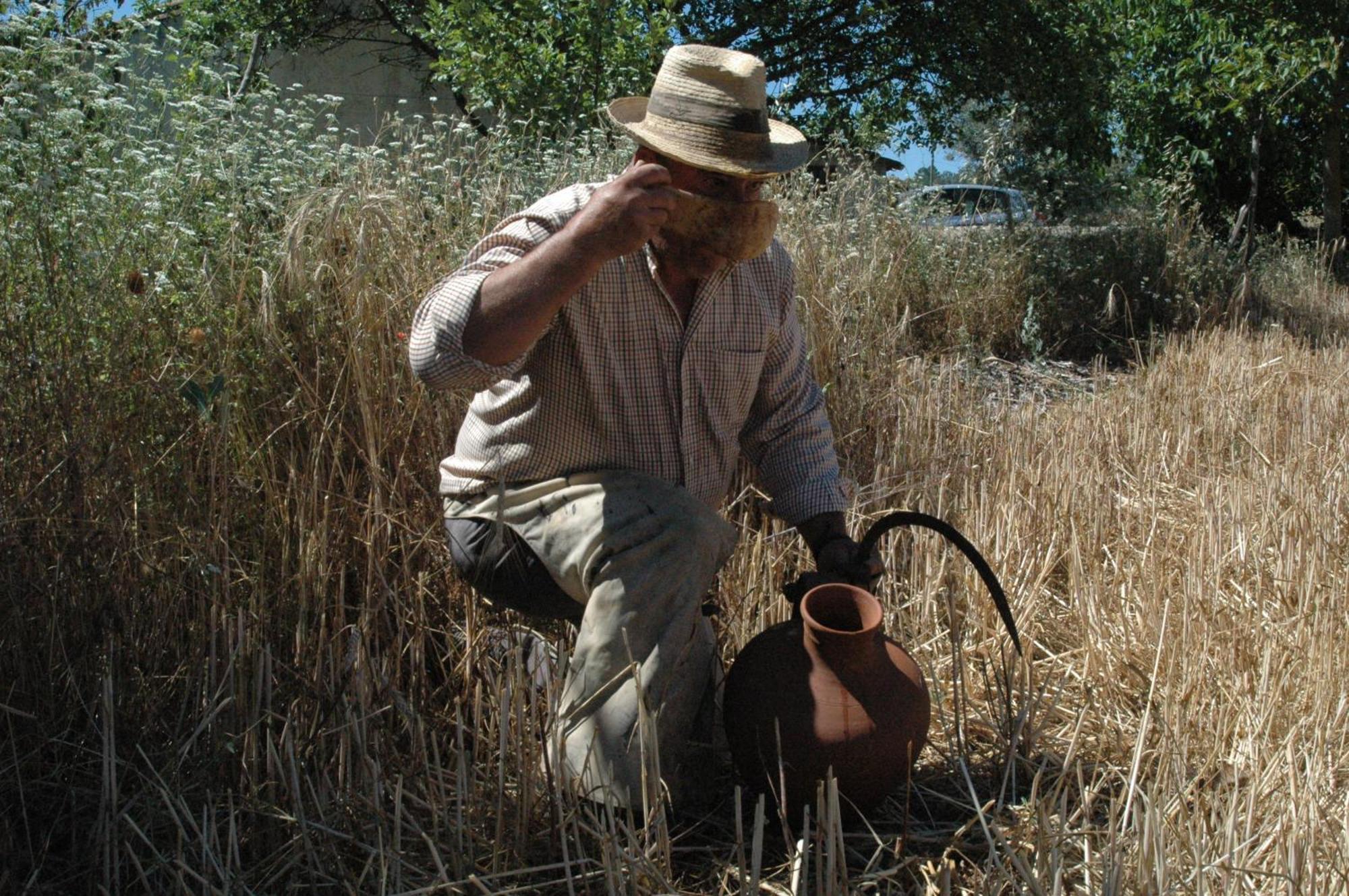 Marvão Quinta Do Vaqueirinho - Agro-Turismo 빌라 외부 사진