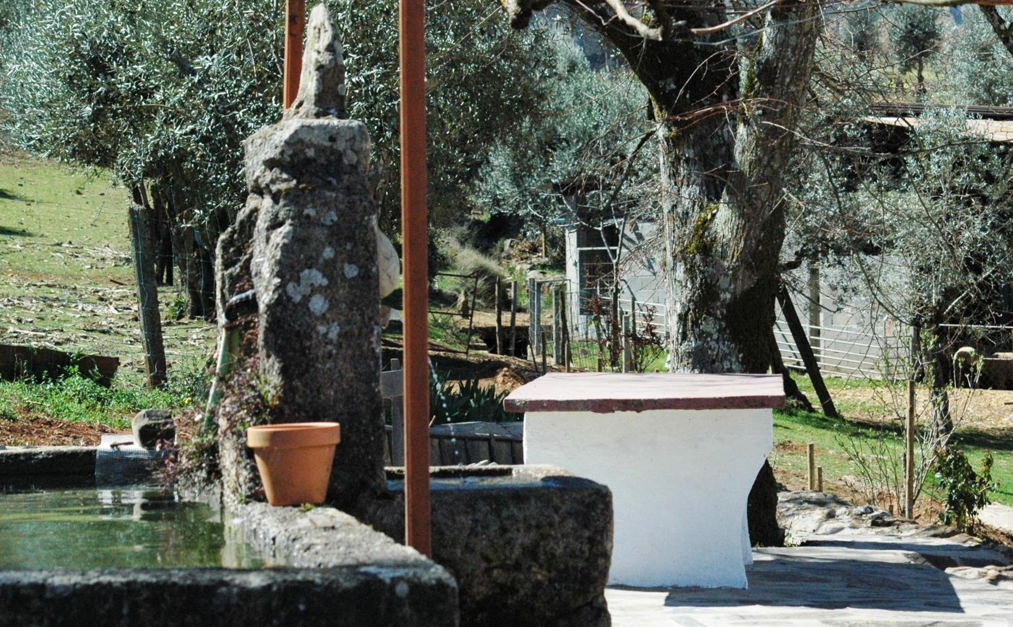 Marvão Quinta Do Vaqueirinho - Agro-Turismo 빌라 외부 사진