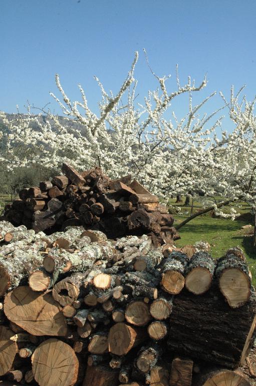 Marvão Quinta Do Vaqueirinho - Agro-Turismo 빌라 외부 사진